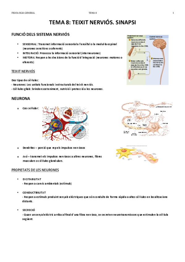 Miniatura del documento TEMA 8.pdf