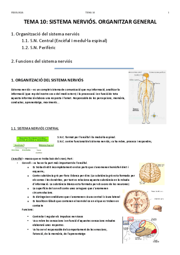 Miniatura del documento TEMA 10.pdf