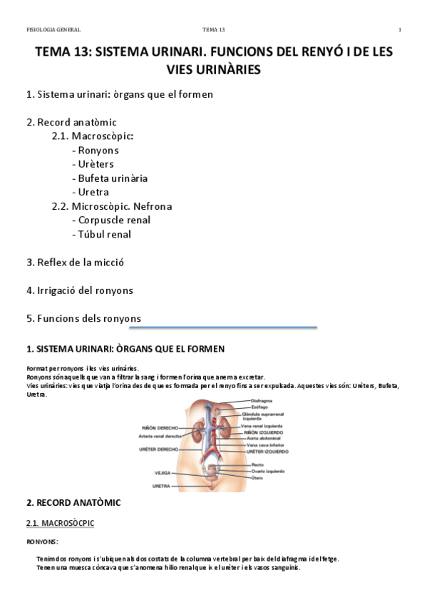 Miniatura del documento TEMA 13.pdf