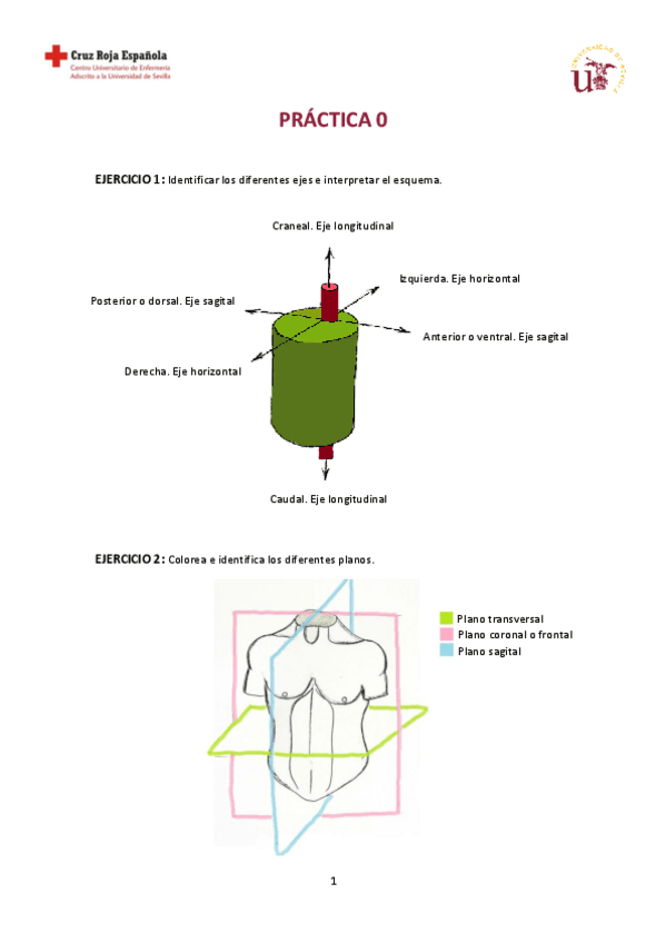 Miniatura del documento CUADERNILLO ANATOMÍA.pdf