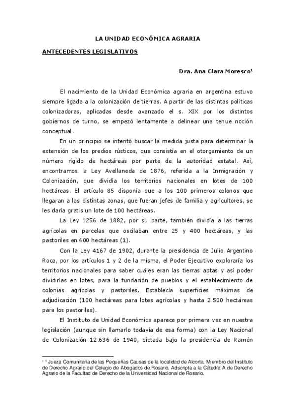 Miniatura del documento UnidadEconomica-AnaClaraMoresco.pdf