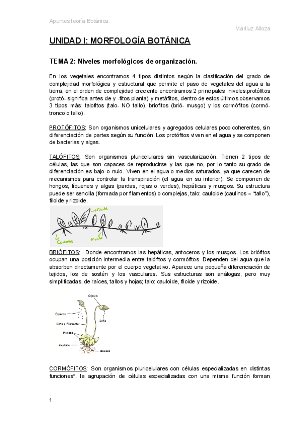 Miniatura del documento Apuntes-botanica.pdf
