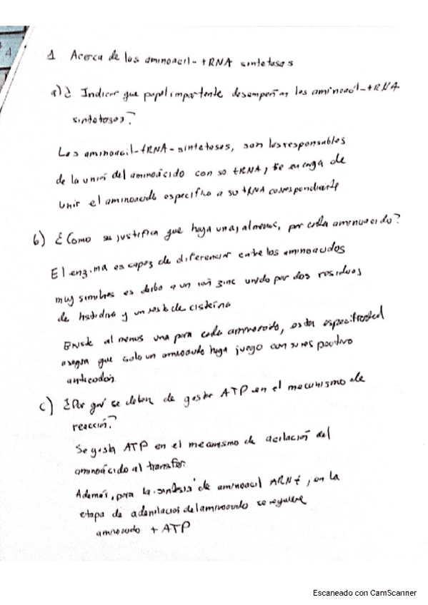 Miniatura del documento ordinaria-2020.pdf