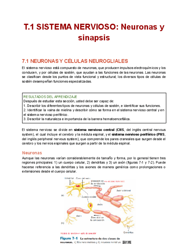 Miniatura del documento T.1-fisiologiaaa.pdf
