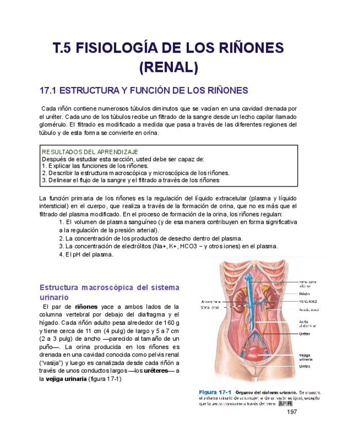 Miniatura del documento T.5-fisiologia-BIEN-1.pdf