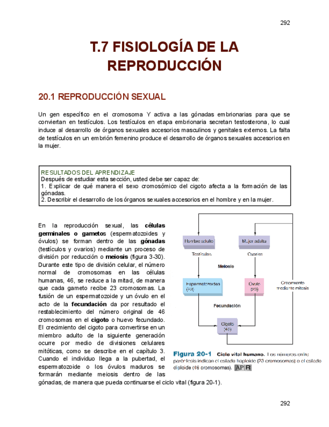 Miniatura del documento T.7-fisiologia.pdf
