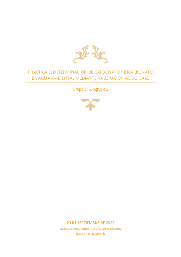 Miniatura del documento GR2SUBGRUPO2INFORME3LABQAIREV.pdf