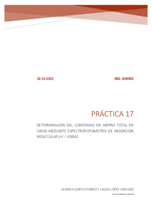 Miniatura del documento GR2SUBGRUPO2INFORME17LABQAIREV.pdf