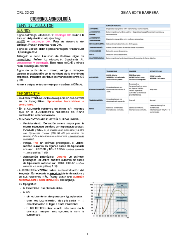 Miniatura del documento T1-ORL-RESUMEN.pdf