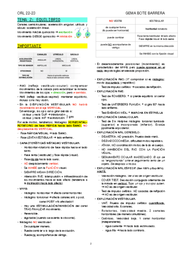 Miniatura del documento T2-ORL-RESUMEN.pdf