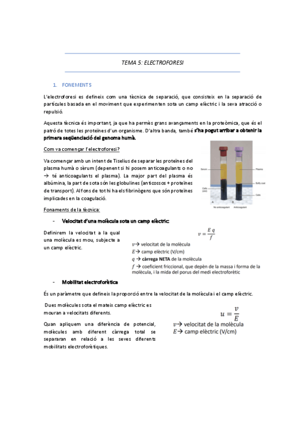 Miniatura del documento TEMA-5-apunts.pdf
