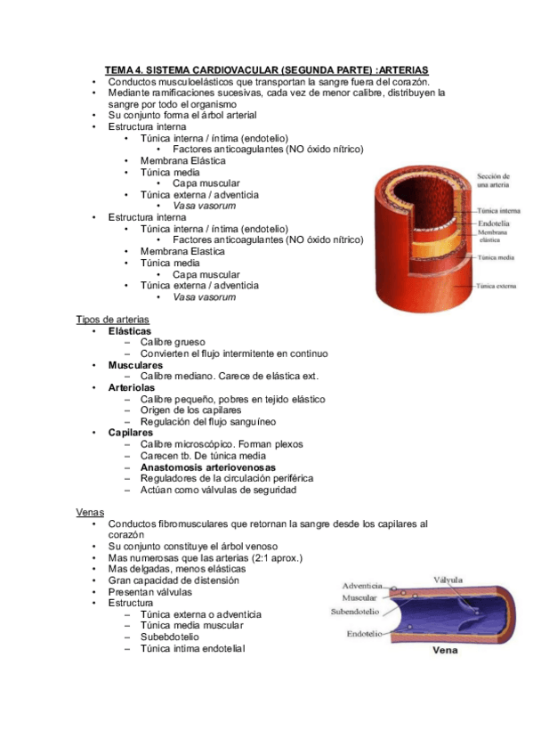 Miniatura del documento Bloque-IV-IX.pdf