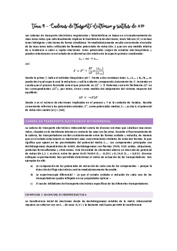 Miniatura del documento Tema 11 - Cadenas de transporte electrónico y síntesis de ATP.pdf