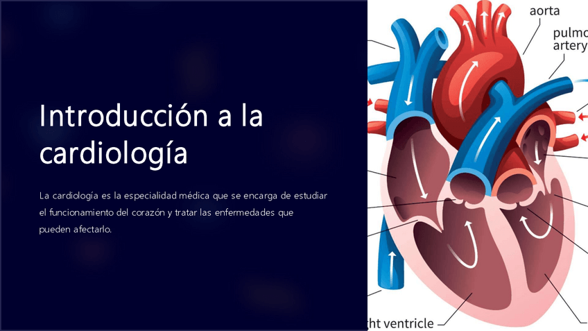 Miniatura del documento Introduccion-a-la-cardiologia.pdf