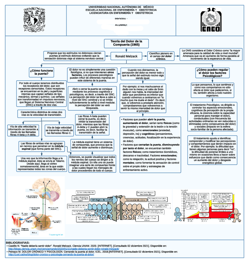 Miniatura del documento Teoria-del-Dolor-de-la-Compuerta-1965.pdf