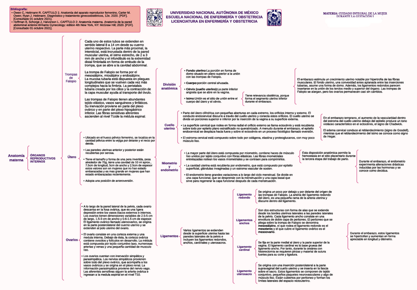 Miniatura del documento Mapa-conceptual-Anatomia-materna.pdf