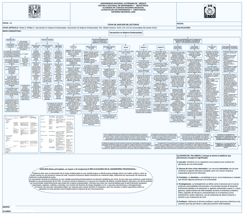 Miniatura del documento Vacunacion-en-Mujeres-Embarazadas.pdf