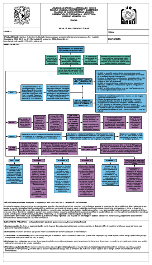 Miniatura del documento Suplementos-en-gestacion-ultimas-recomendaciones.pdf