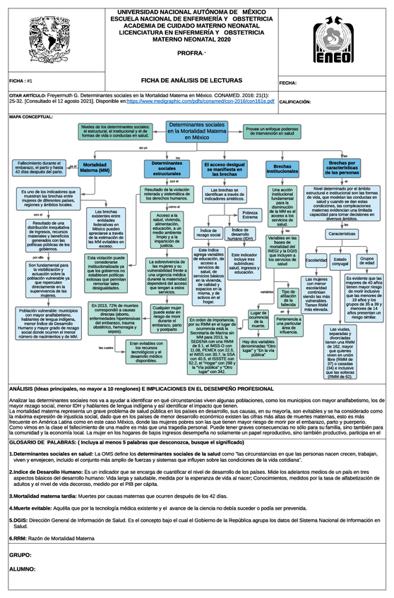 Miniatura del documento Determinantes-sociales-en-la-Mortalidad-Materna-en-Mexico.pdf