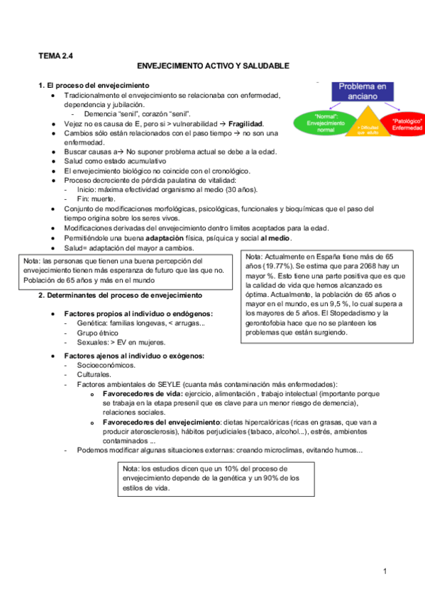Miniatura del documento 2.4 Envejecimiento activo y saludable.pdf