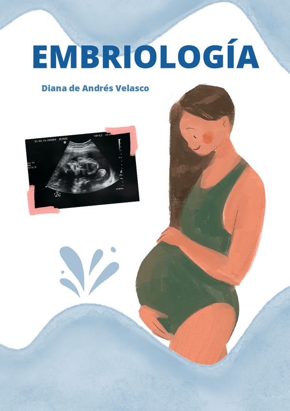 Miniatura del documento TOCHO-EMBRIO.pdf