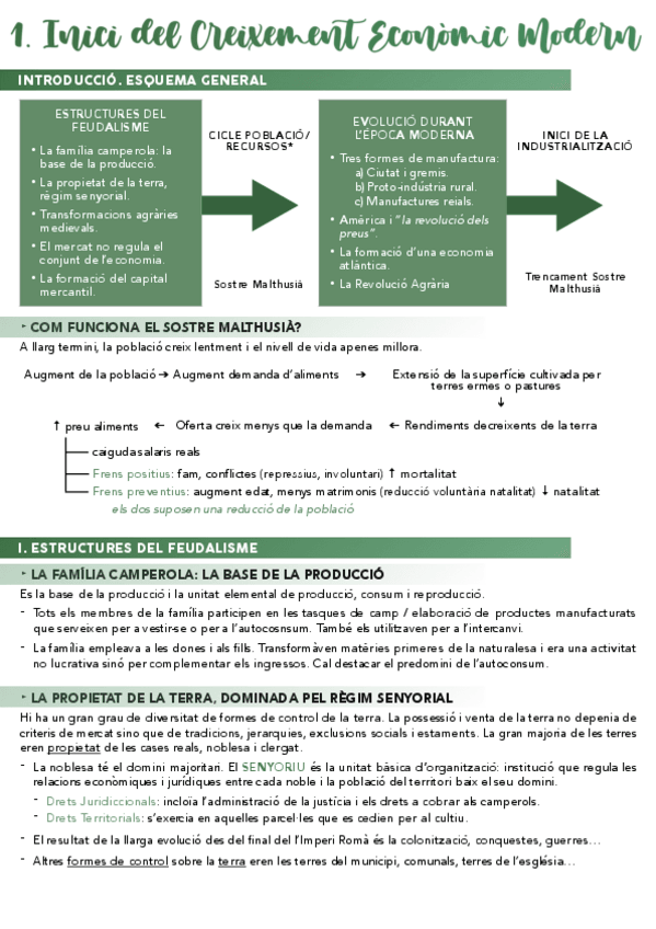 Miniatura del documento APUNTS-HISTORIA.pdf