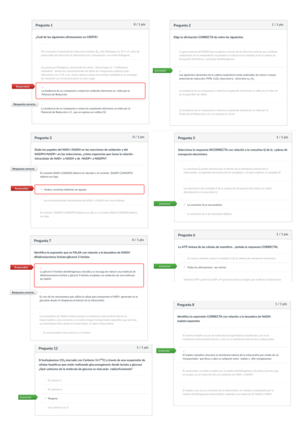 Miniatura del documento Parcial 2.pdf