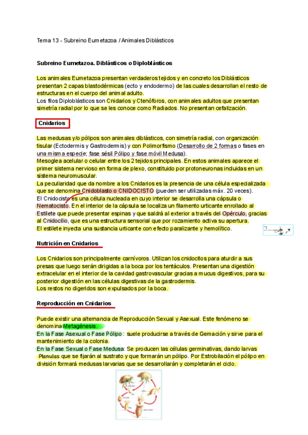 Miniatura del documento Tema-13.pdf