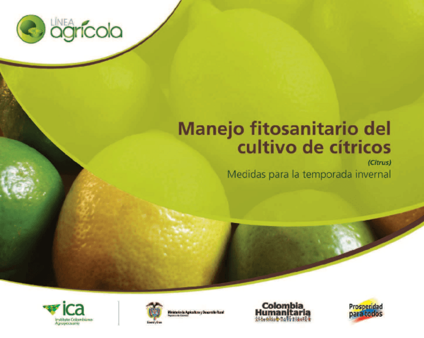 Miniatura del documento Manejofitosanitarioencitricos.pdf