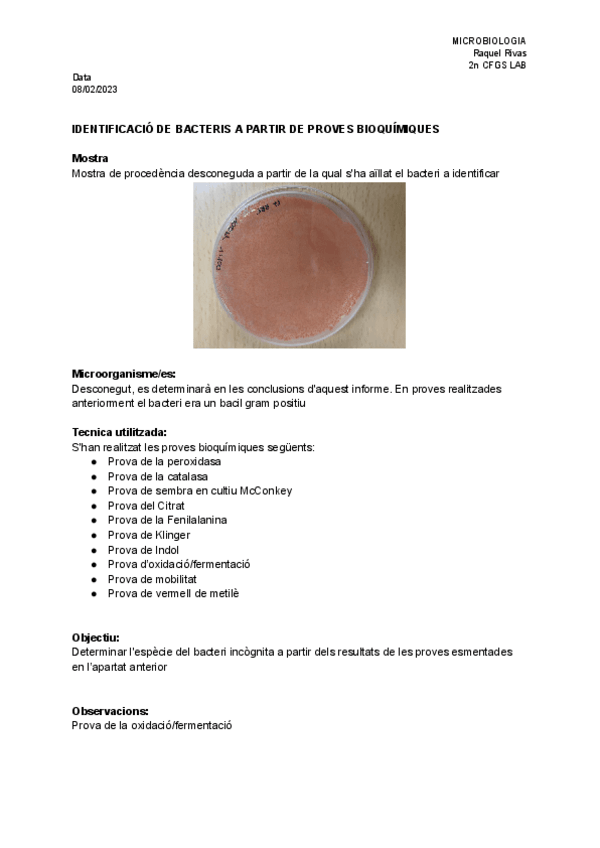 Miniatura del documento Informe-pruebas-bioquimicas.pdf