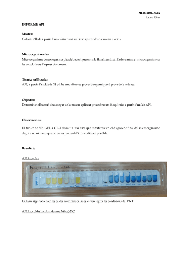 Miniatura del documento Informe-resultados-API.pdf