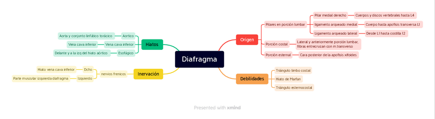 Miniatura del documento Diafragma esquema.pdf
