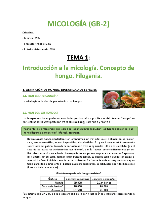 Miniatura del documento APUNTES TEORIA MICOLOGIA.pdf