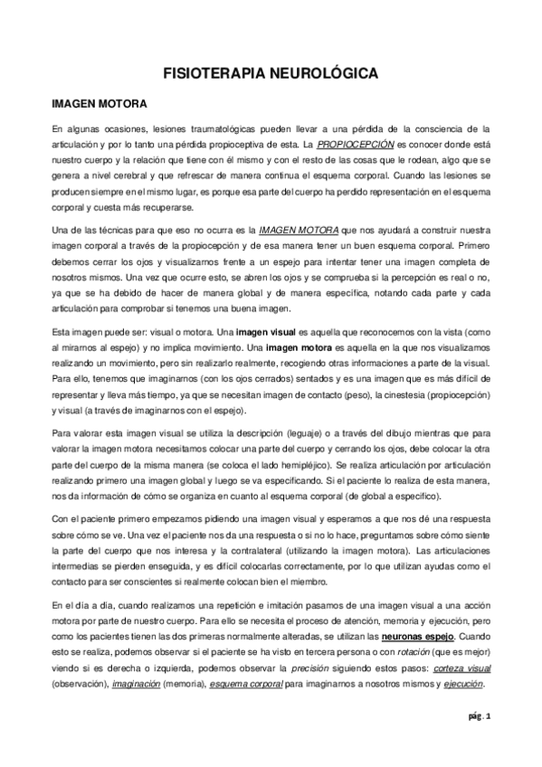 Miniatura del documento 3.-Imagen-motora.pdf