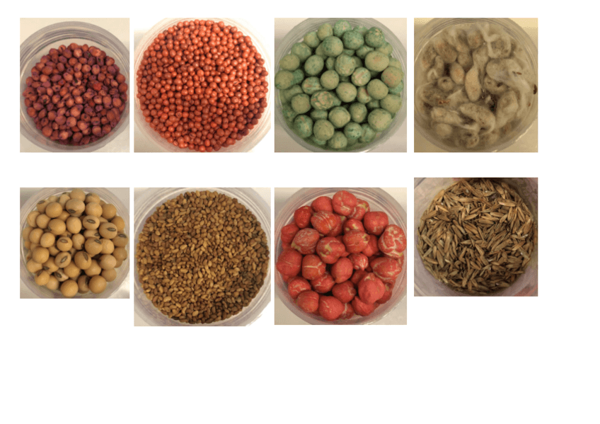 Miniatura del documento IMAGENES-SEMILLAS.pdf