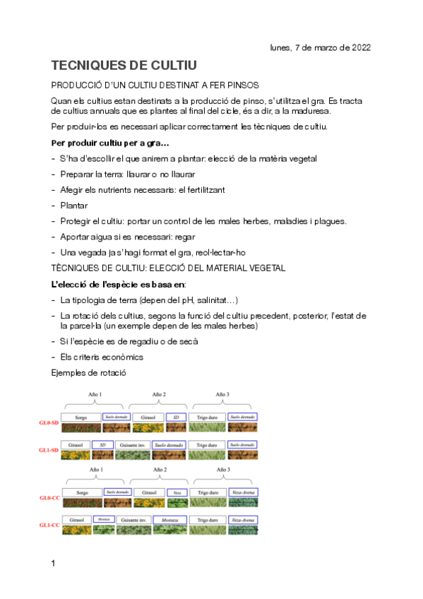 Miniatura del documento TECNICAS-DE-CULTIVO.pdf