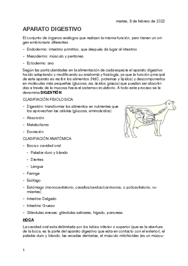Miniatura del documento APARATO-DIGESTIVO.pdf