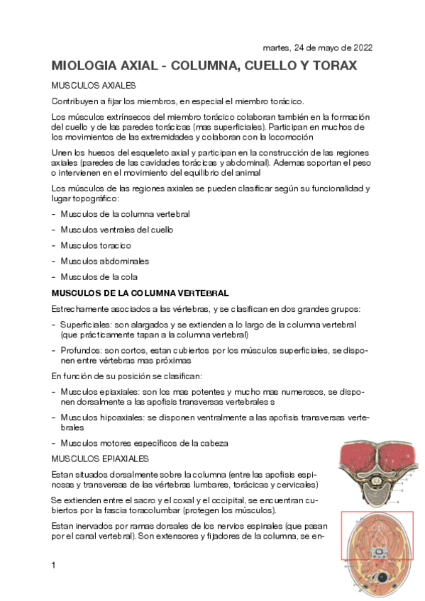 Miniatura del documento MIEMBRO-AXIAL-II.pdf