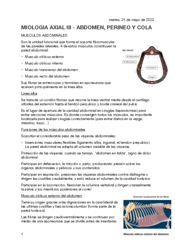 Miniatura del documento MIOLOGIA-AXIAL-III.pdf