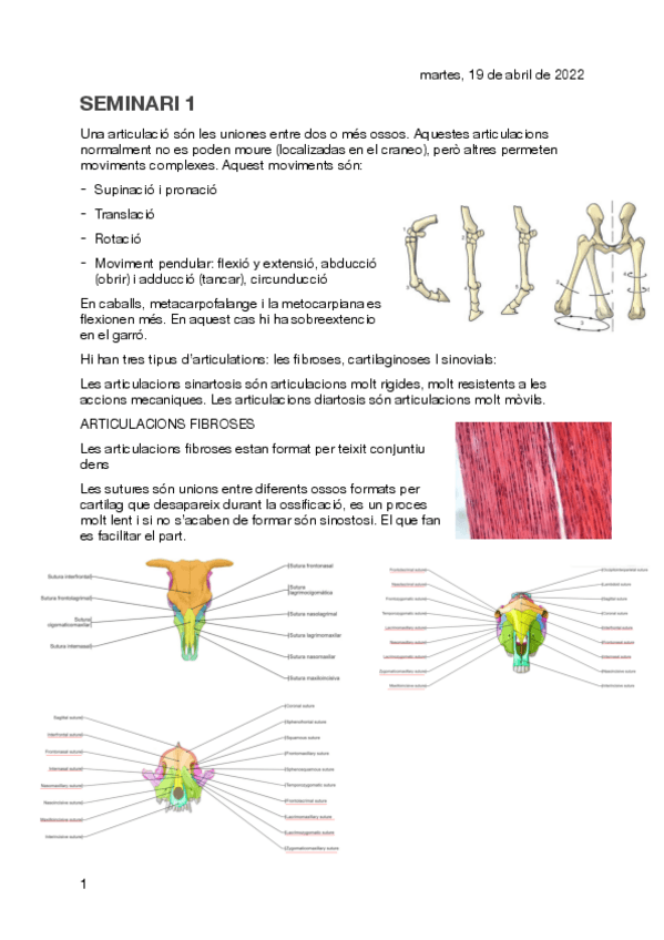 Miniatura del documento SEMINARIO-1.pdf