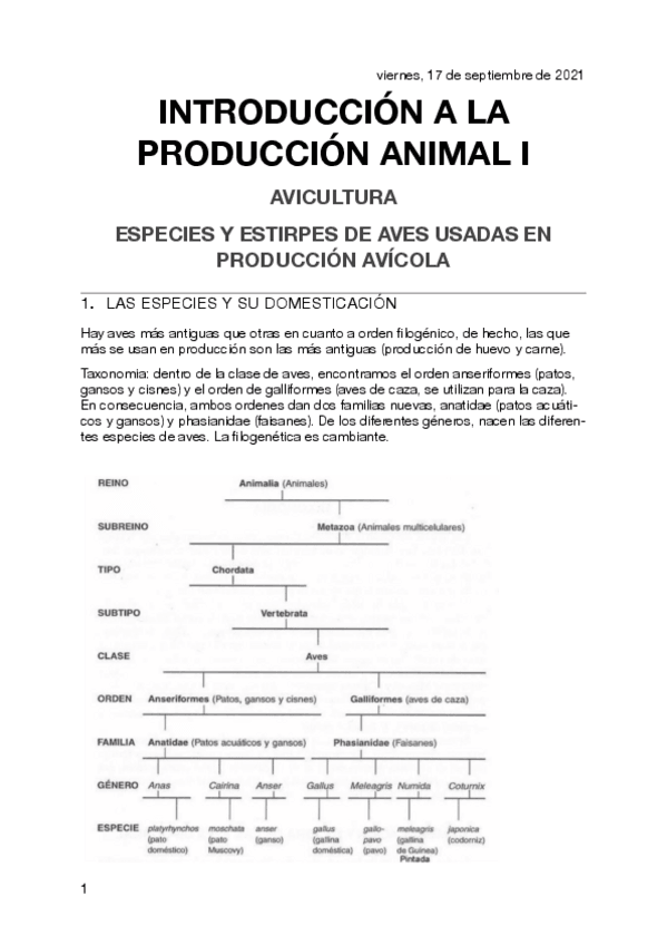 Miniatura del documento introduccion-a-la-produccion-animal-avicultura.pdf