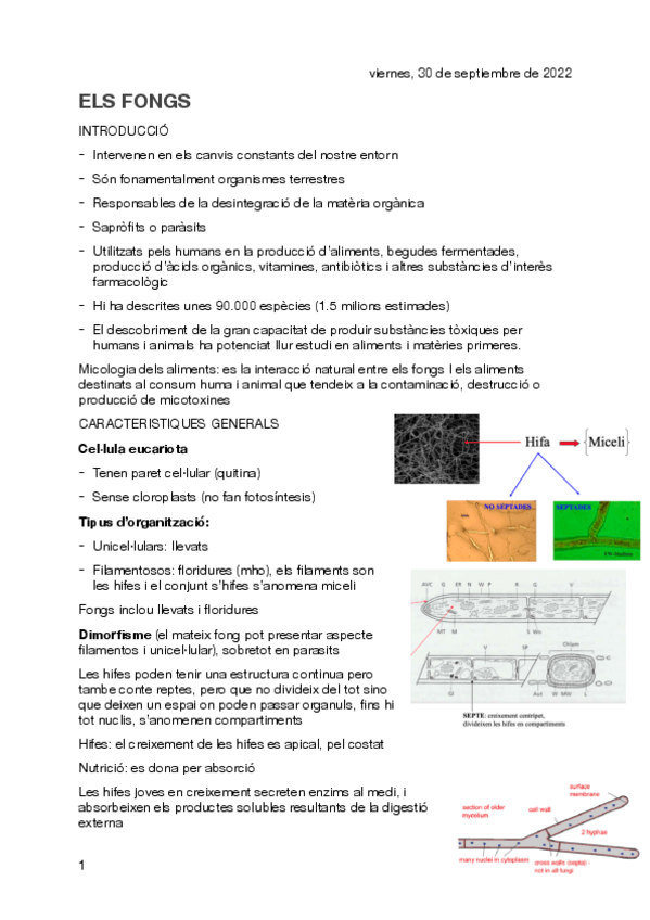 Miniatura del documento MICROBIOLOGIA-7.pdf