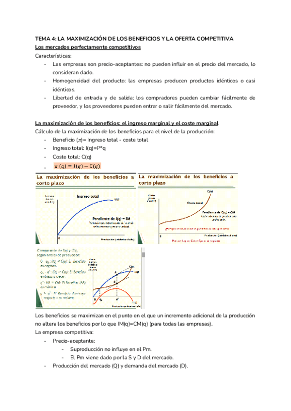 Miniatura del documento Tema-4.pdf