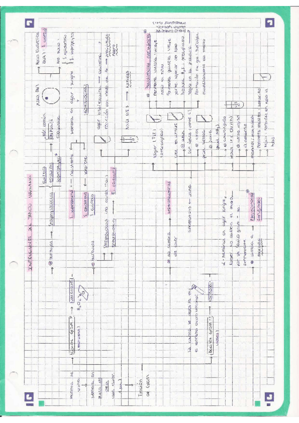 Miniatura del documento Teoria-Microbiologia.pdf