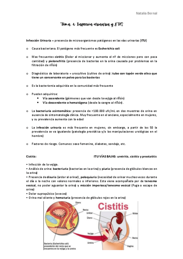 Miniatura del documento Tema-4.pdf