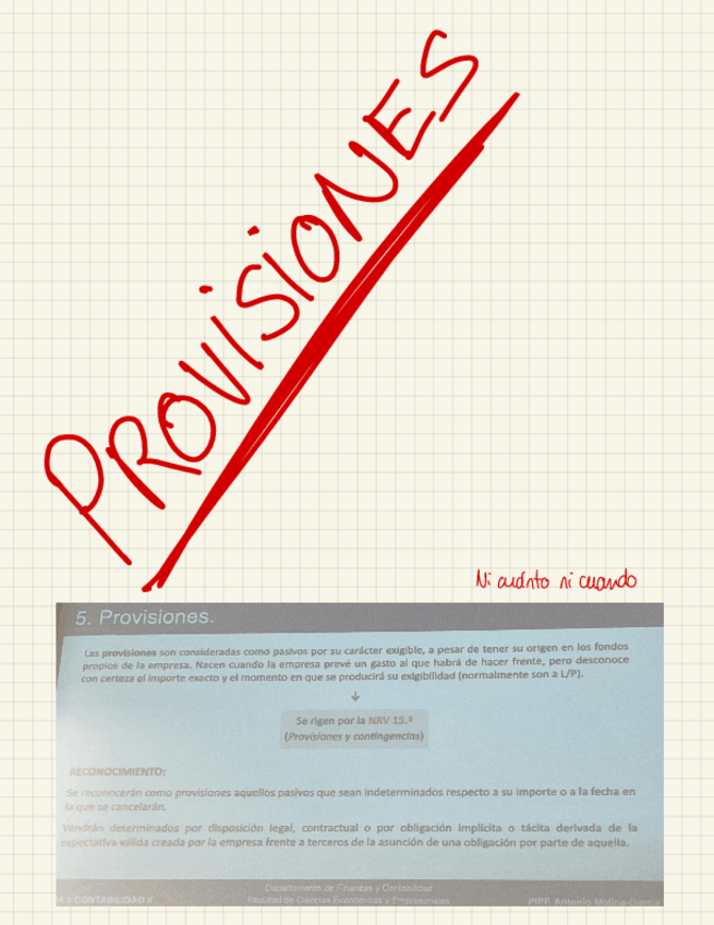 Miniatura del documento provisiones.pdf