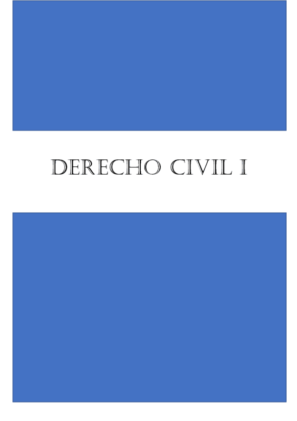 Miniatura del documento resumen-civil-I.pdf