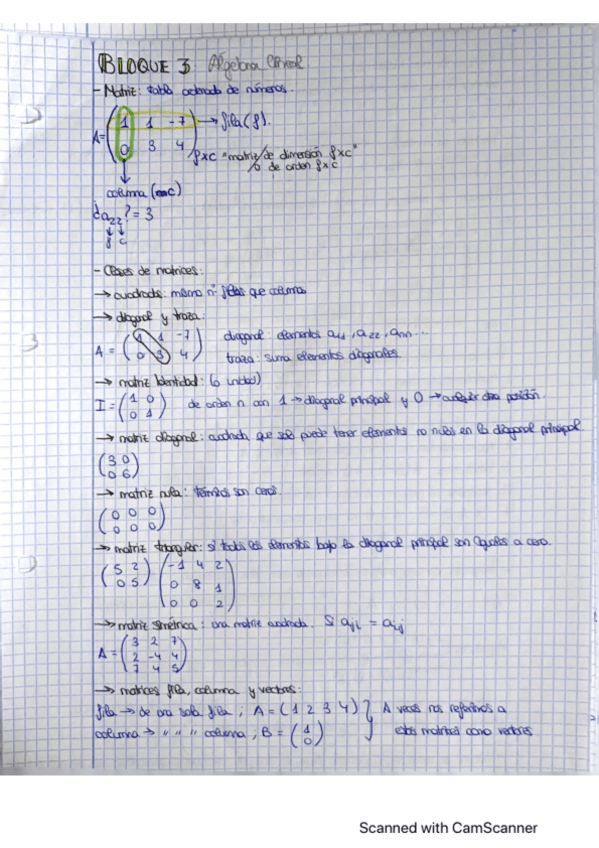Miniatura del documento Matematicas-Bloque-3-Matrices.pdf