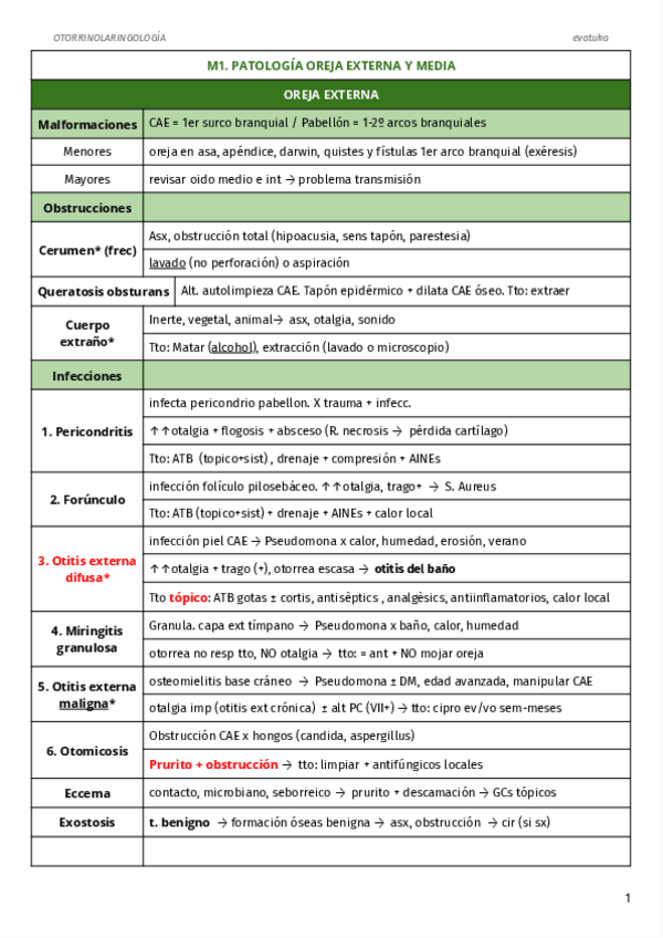 Miniatura del documento RESUM-Magis-y-talleres-ORL.pdf