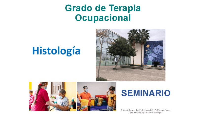 Miniatura del documento 1o-SEMINARIOTeparia-Ocupacional-2023.pdf